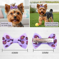Cheveux de chien Bows Petits clips chiots pour animaux de chambre Accessoires Doggy Cadeaux 60Pcs