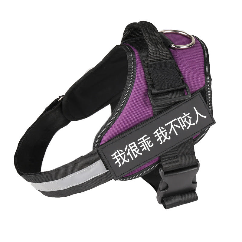 Set de ceinture de poitrine en laisse d'animal de mode simple