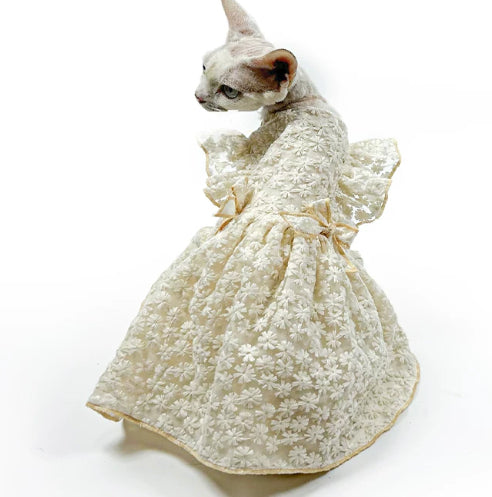 Sphynx Robe Princesse de chat Brodé vêtements de luxe pour chats sans cheveux
