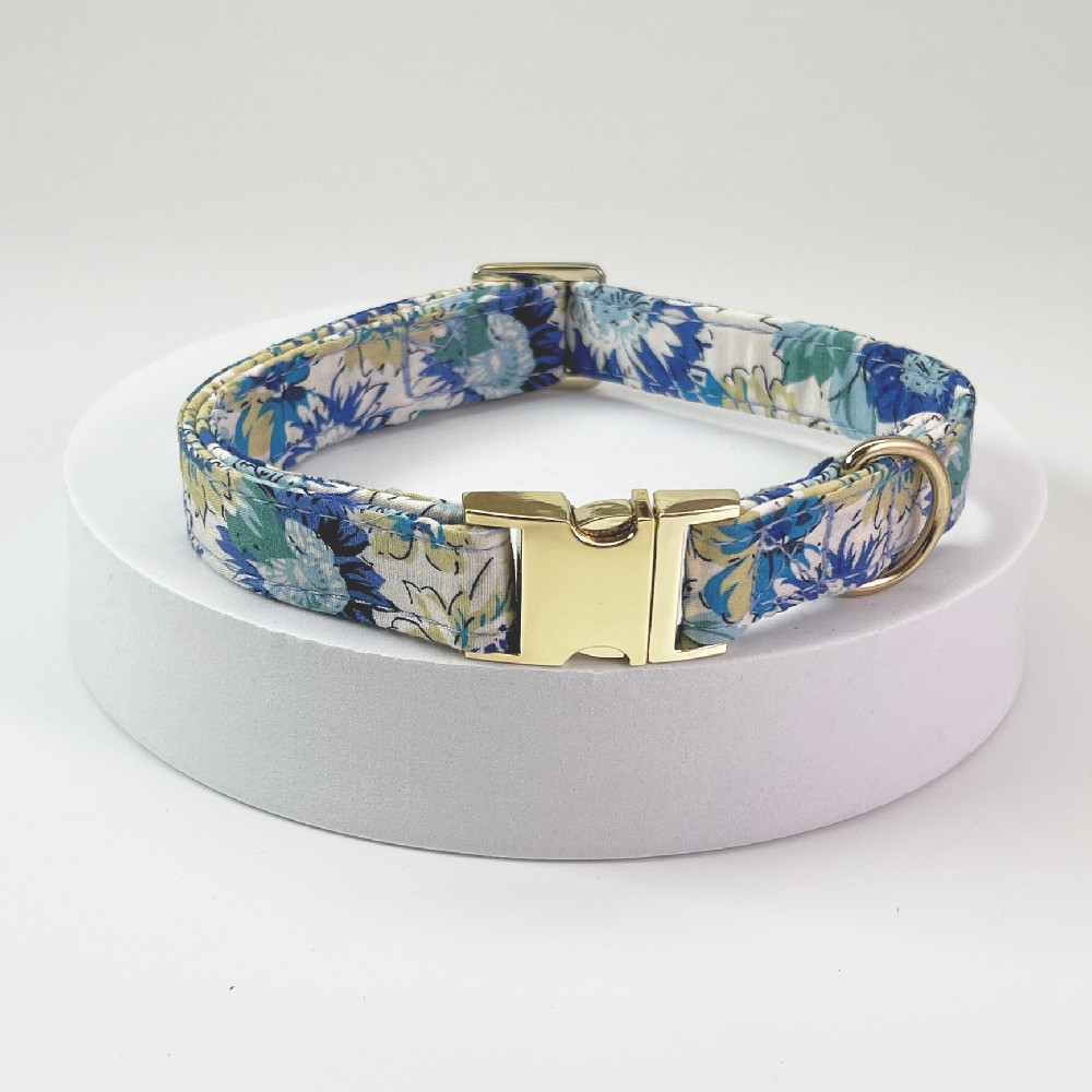 Collier gravé sur chien