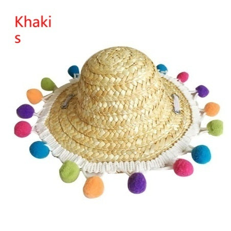 Verres pour chats Lunettes de soleil pour chats Accessoires pour chats