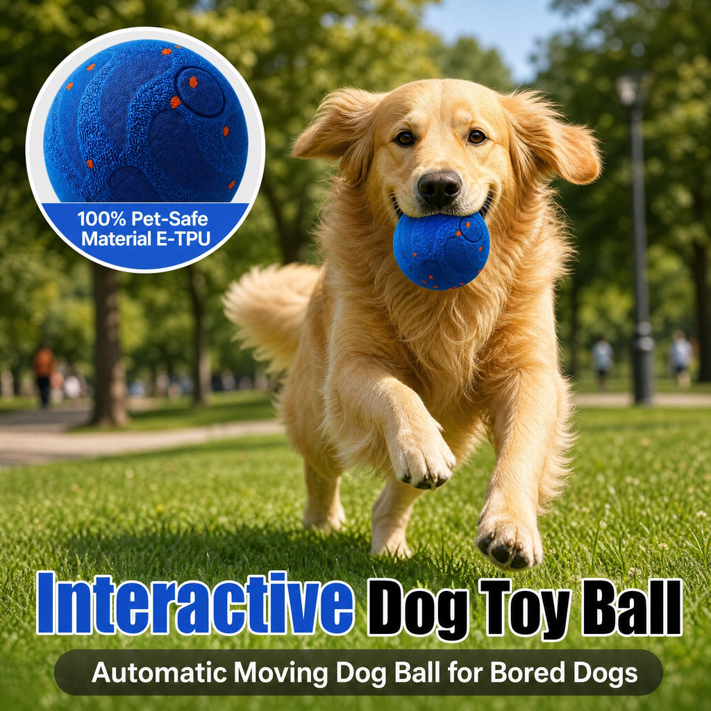 Balle interactive pour chien