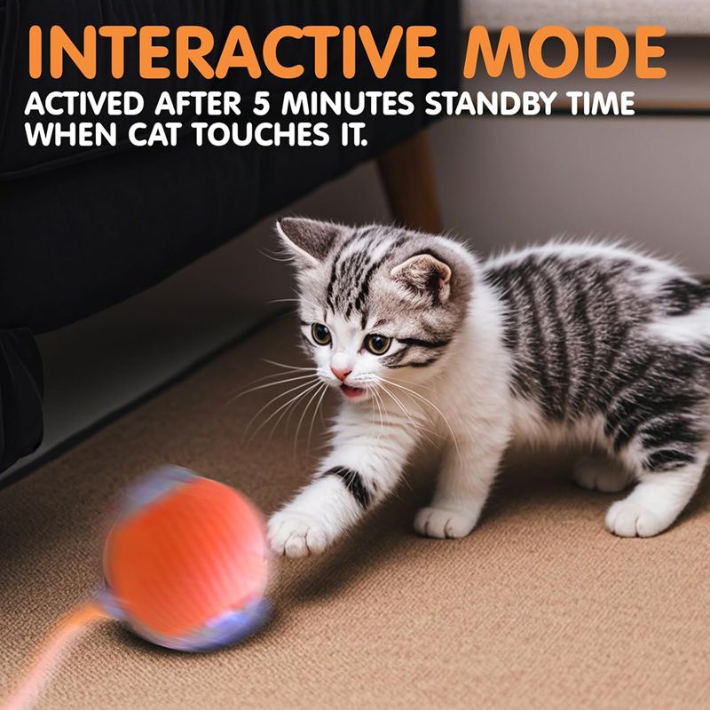 Chat Interactive Ball Toys Automatic Rolling Ball pour Kitten Smart Pet Electri rechargeable