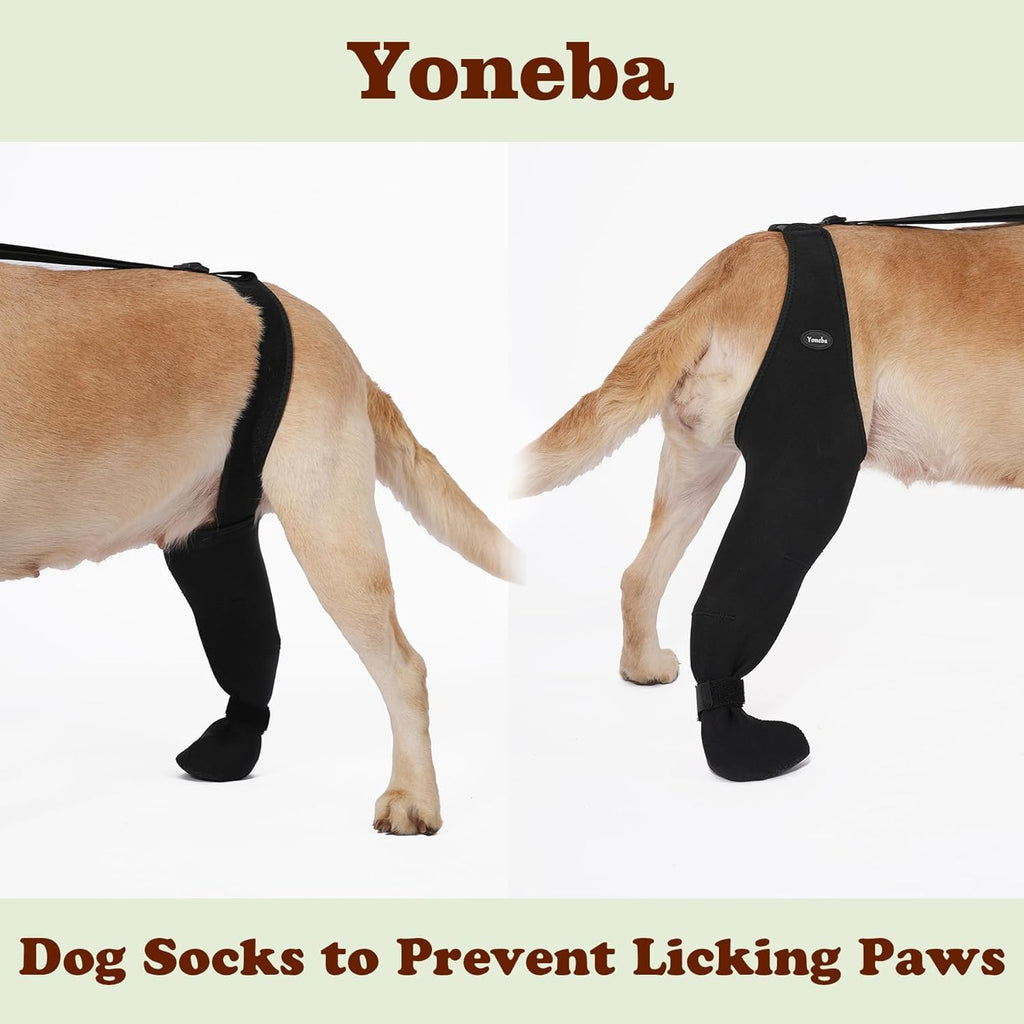 Chaussettes pour chiens pour empêcher les pattes de câlin