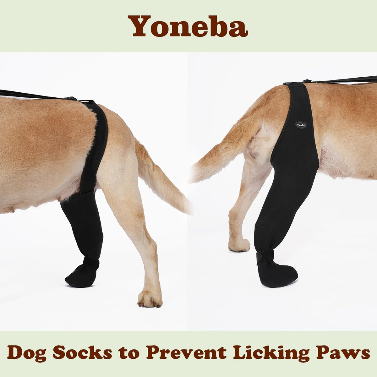 Chaussettes pour chiens pour empêcher les pattes de câlin