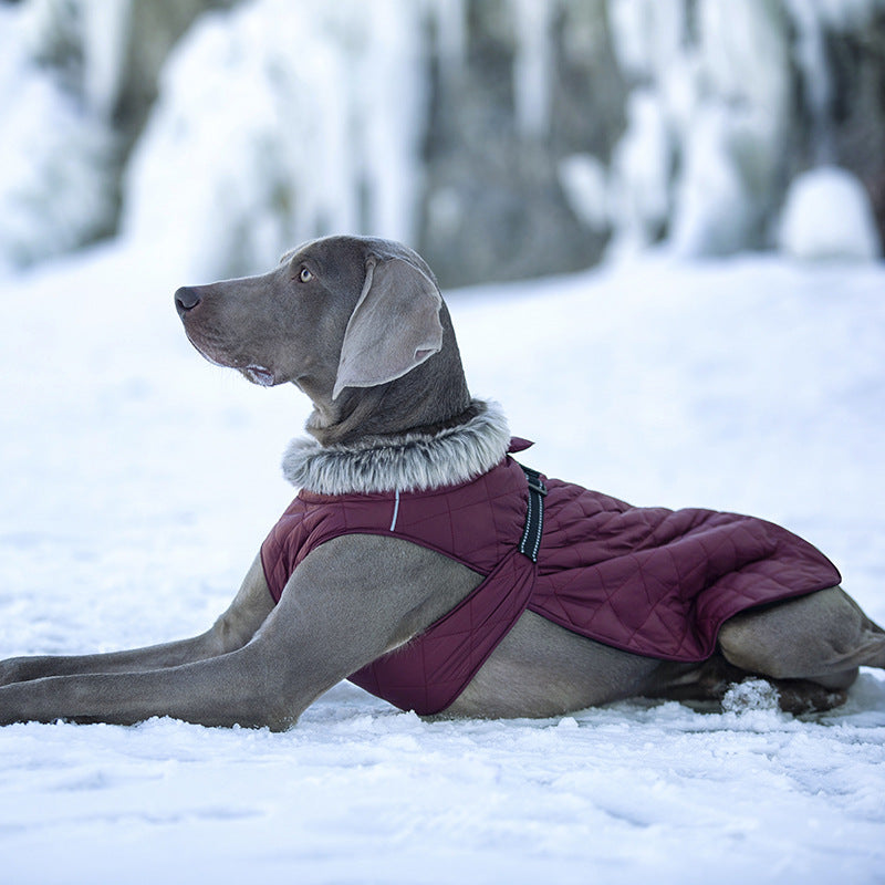 Vêtements pour animaux de compagnie Coton Coats Vente en gros