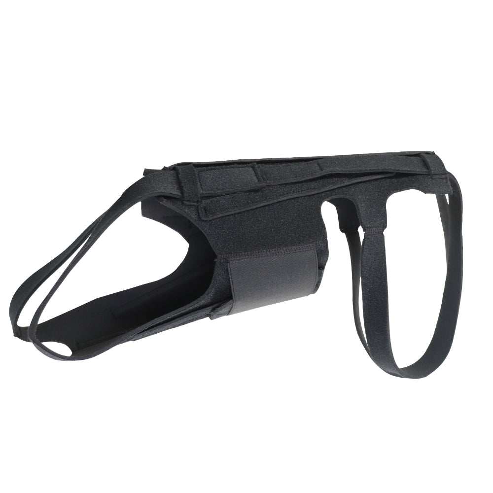 Brace arrière pour chiens avec IVDD