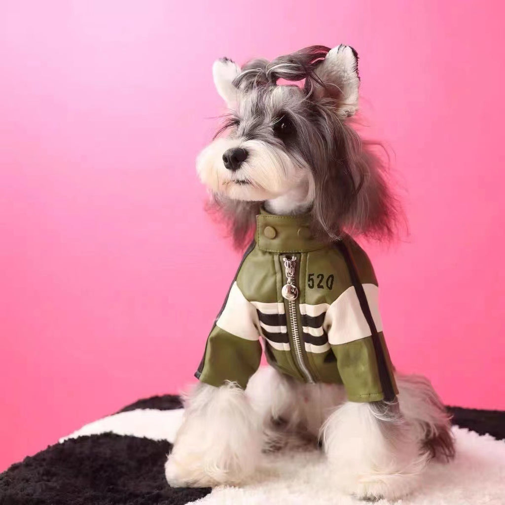 Dog Automnehiver Vêtements Veste de moto manteau