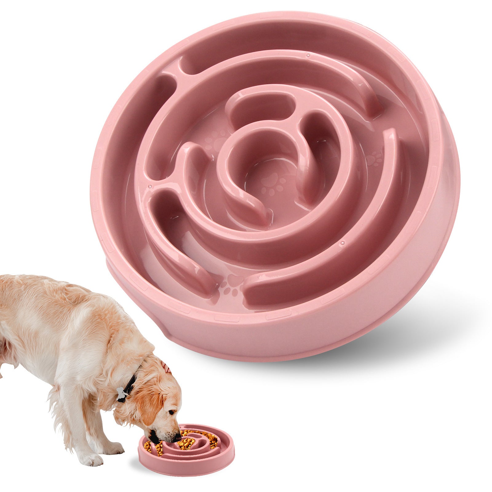 Bol de chien d'alimentation lente