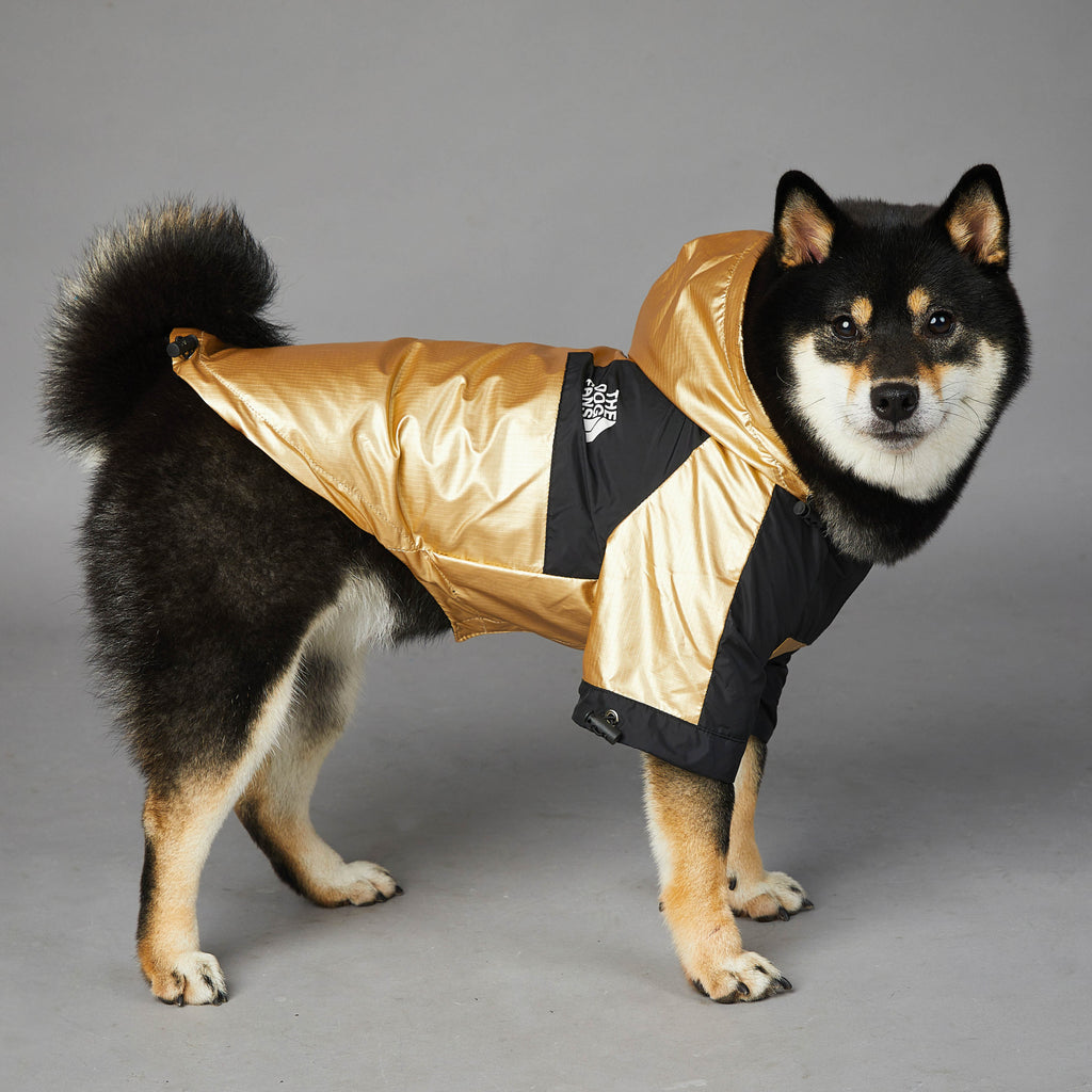 Veste imperméable et coupe-vent pour grand chien