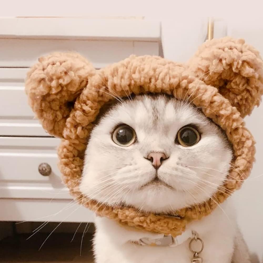 Costume de chat mignon Chapeau d'ours pour chat chaud doux petite tête d'animal