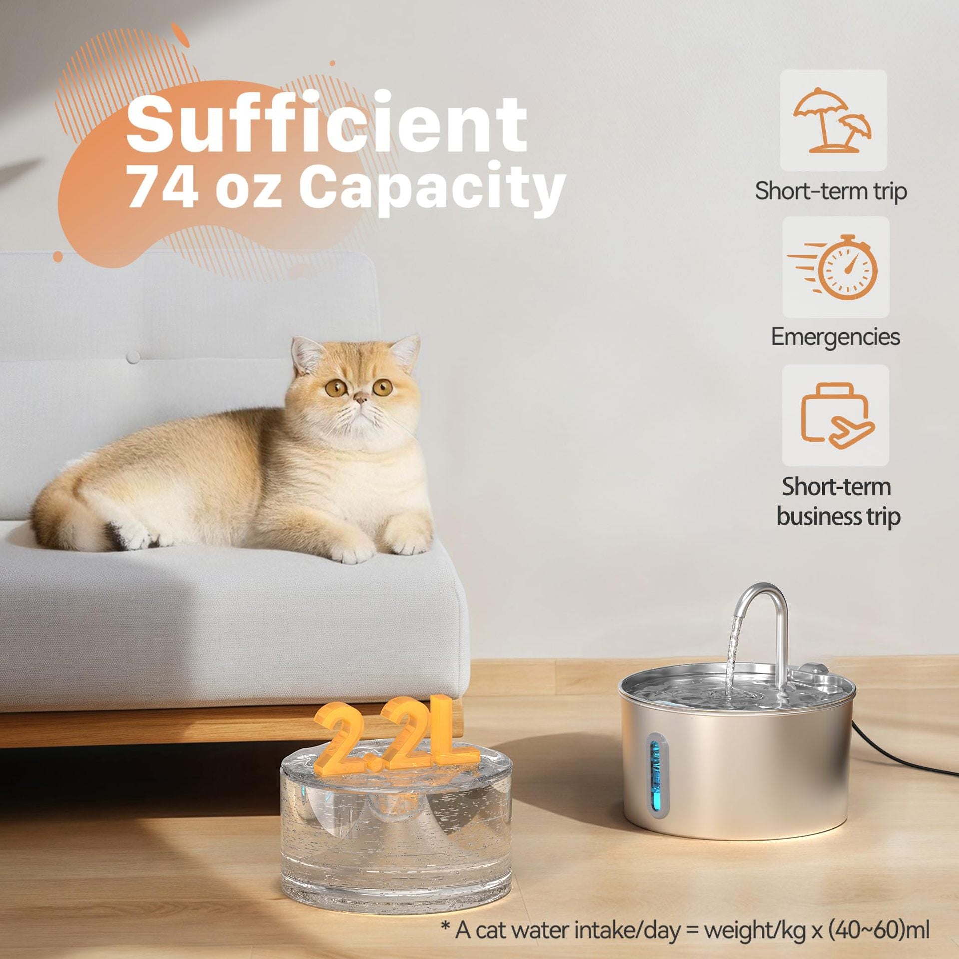 Fontaine d'eau en acier inoxydable Cat avec circulation automatique et filtration intelligente