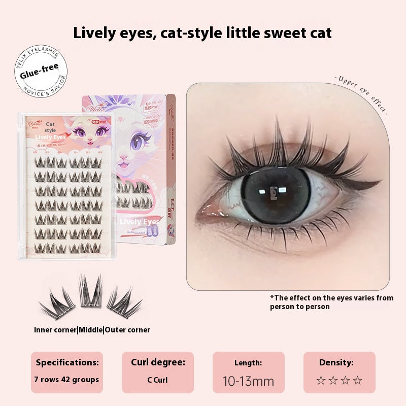 Sans colle Cils autocollants Faux cils