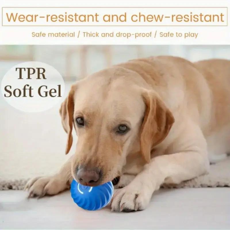 Blue and Orange Pet Buncing Ball Buncing Pet Ball pour chats et chiens