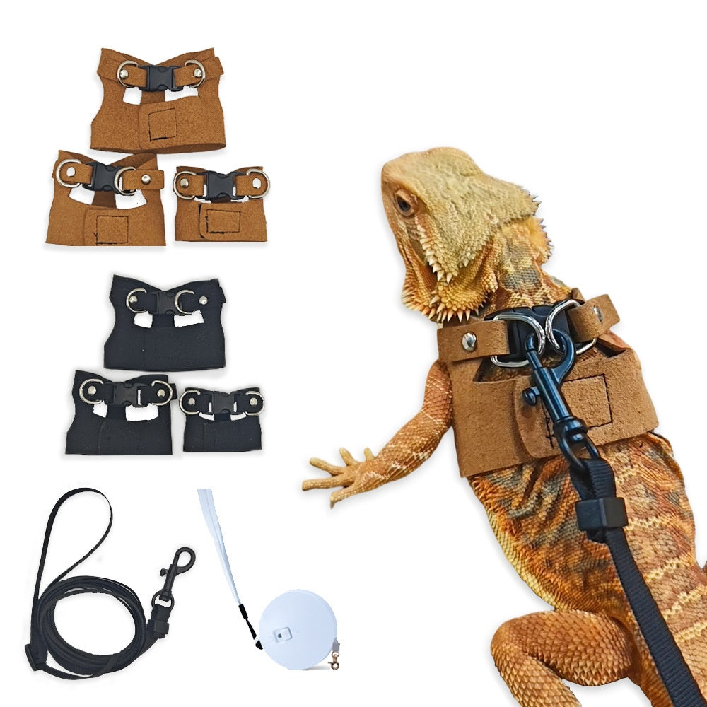Lizard Chameleon écureuil Pet extérieur poitrine et Harness