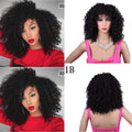 Synthétique Afro Curly Perruques africaines pour femmes noires