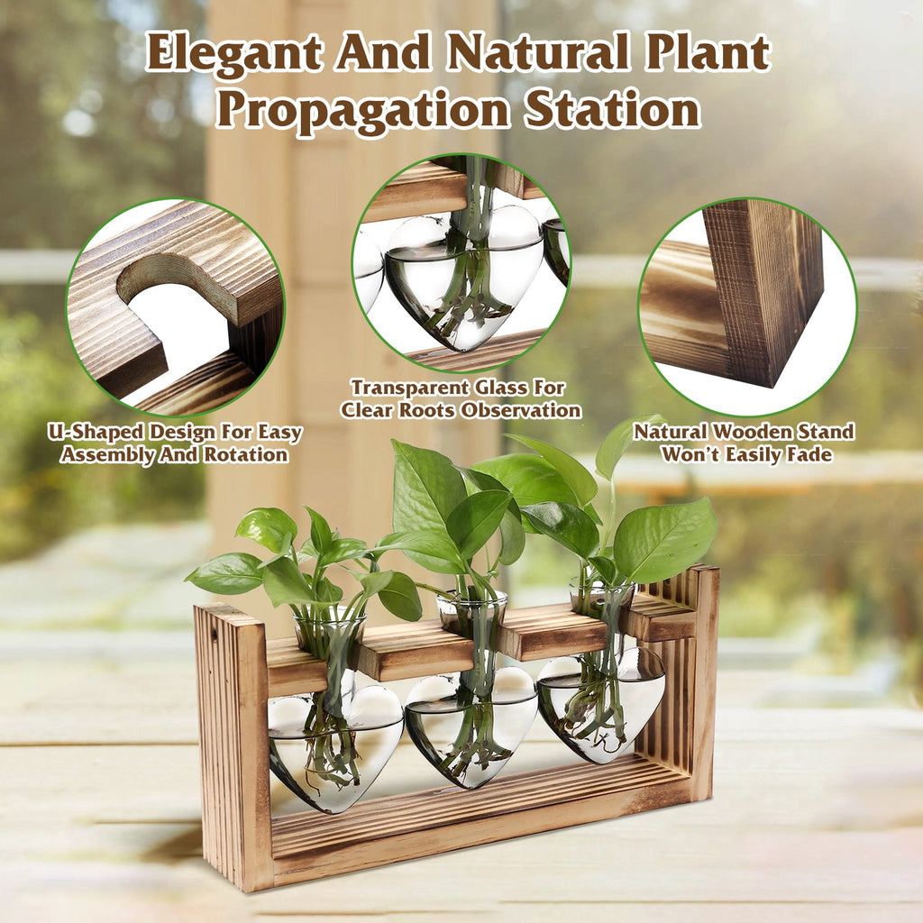 1Pc Station de propagation du terrarium avec 3 vases en forme de coeur Support en bois Bureau Air