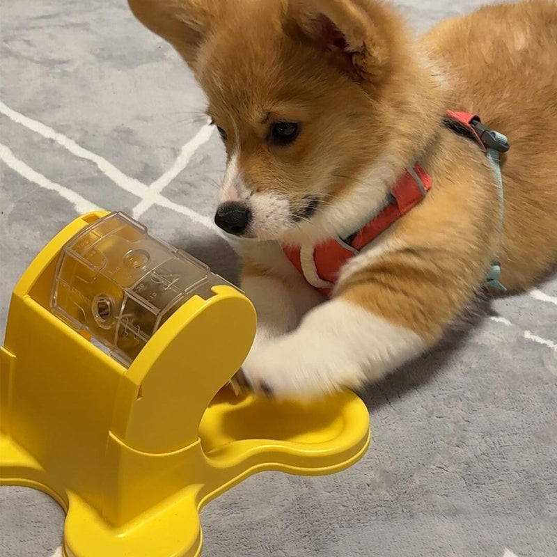 Automatique Animateur Chiens et chats Slow Food Trainer