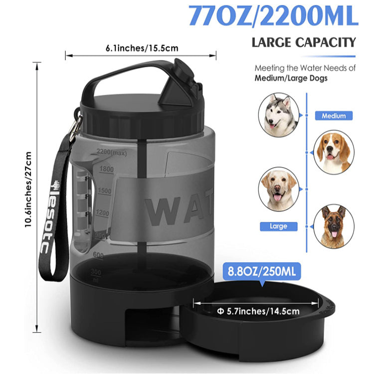 Chiens et chats Bouteille d'eau potable de grande capacité
