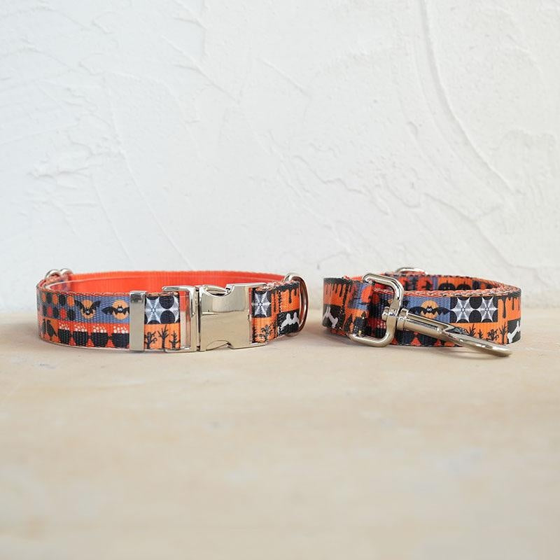 Collier et jeu de laisses pour chien doux et confortable