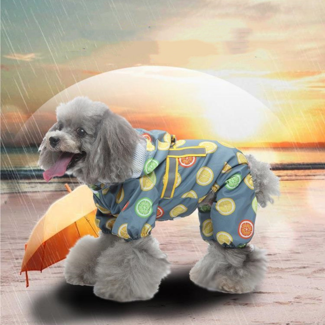 Pet Sound Dog Raincoat à quatre pattes Reflective Raincoat Pattern Dog Four Seasons Universal