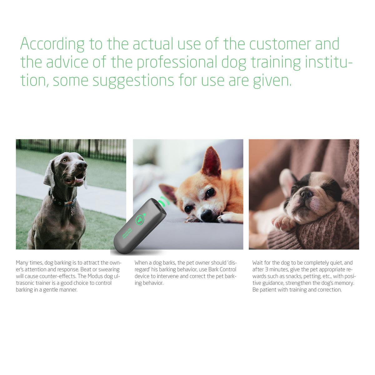 Appareil de répulsif portatif à ultrasons anti-brouillard pour chiens