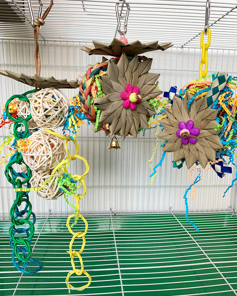 Jouets éducatifs brossé de palmier de perroquet