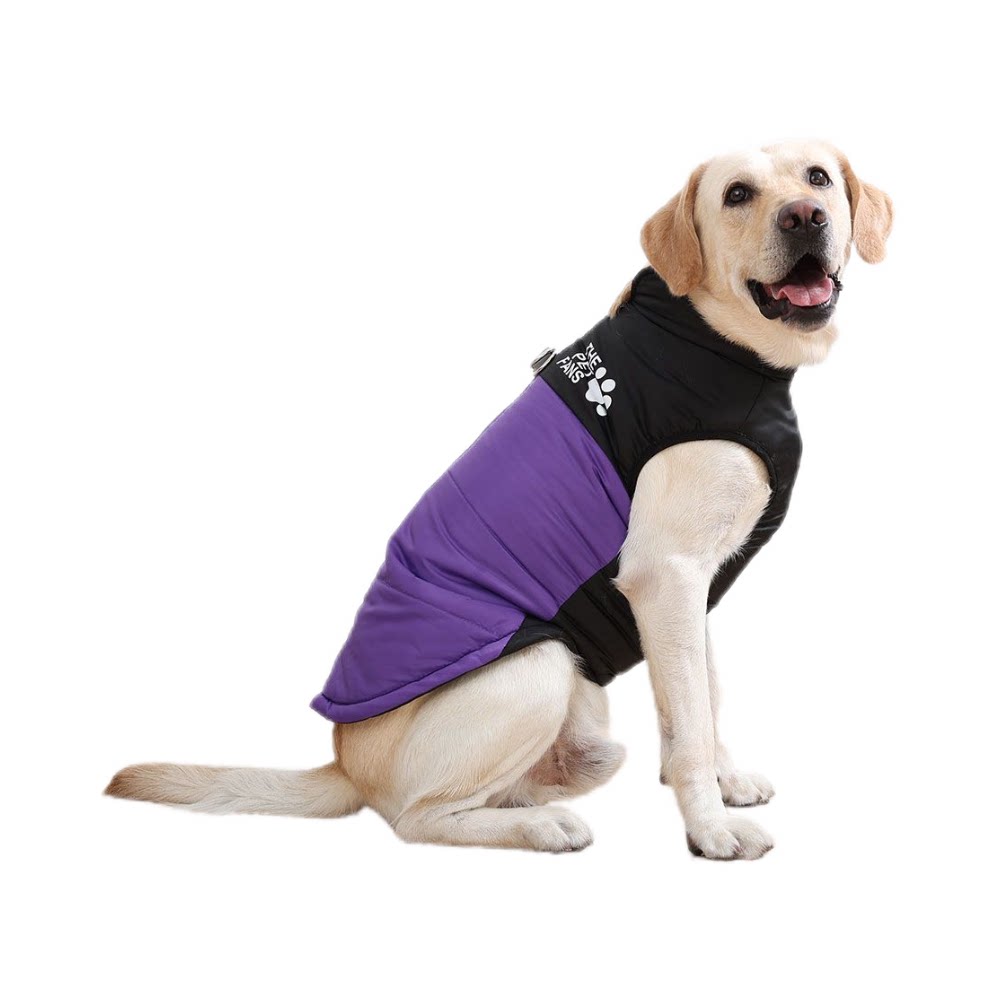 Veste de coton résistant au vent et au froid