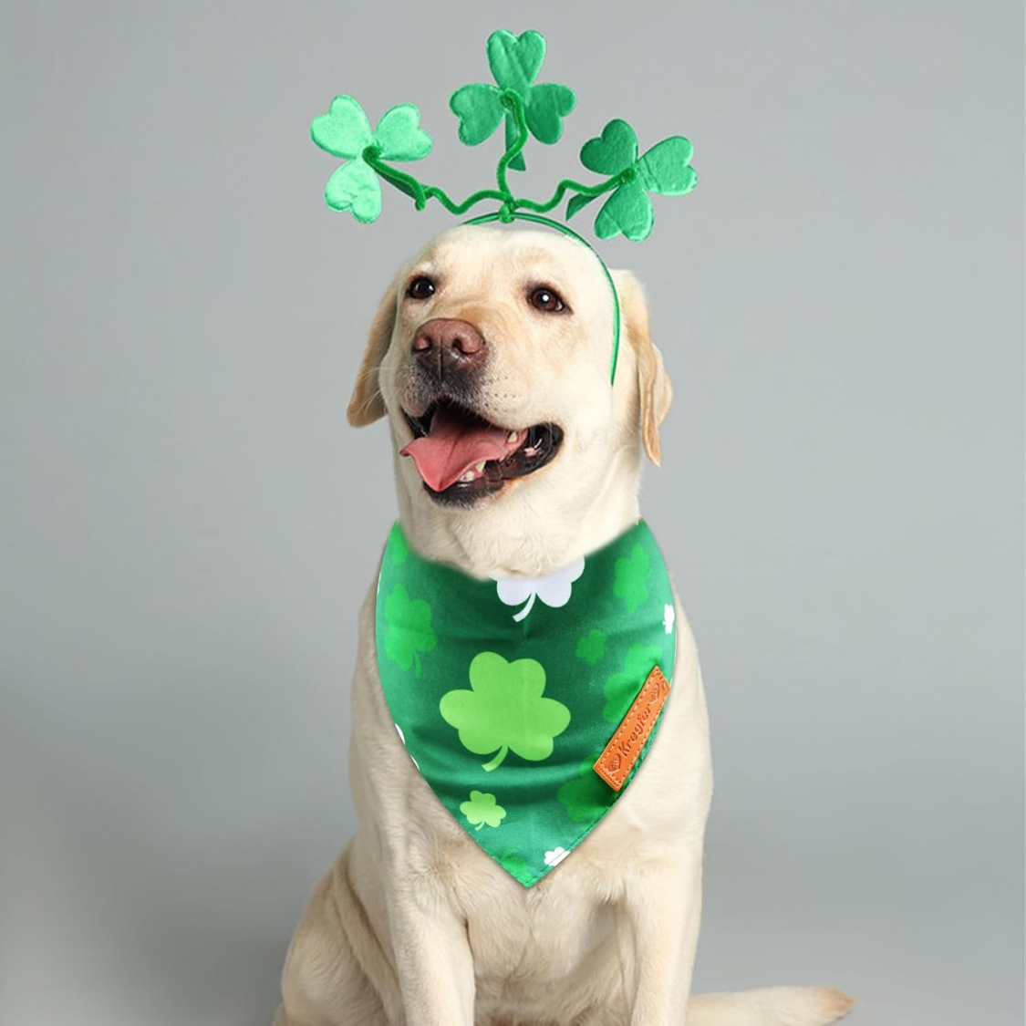 Bandanas de chien de St. Patrick