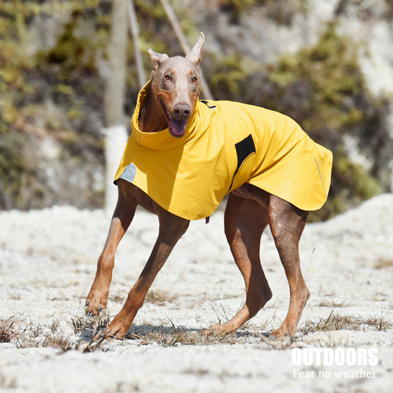 Pet Shell Veste de chien imperméable imperméable imperméable à l'eau