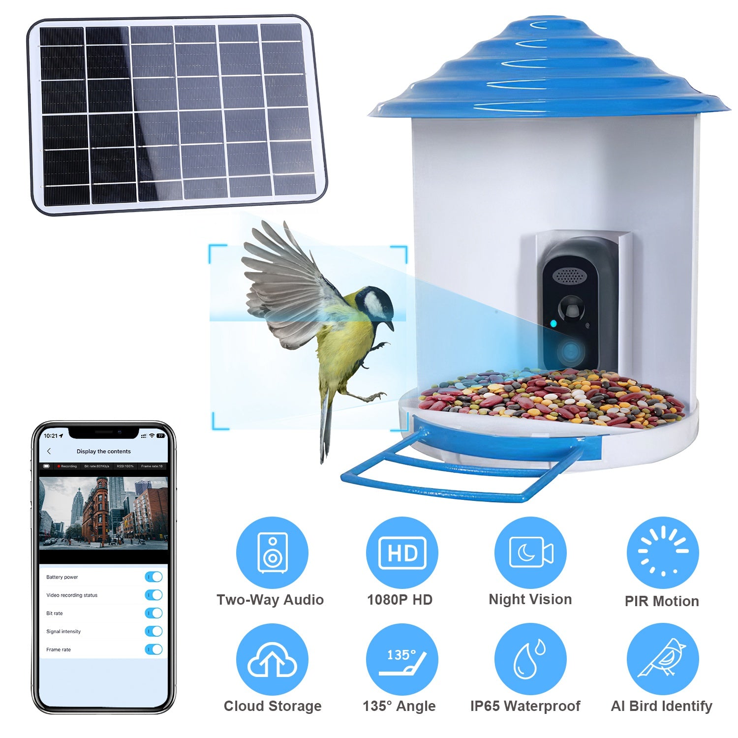 Smart Bird Feeder avec caméra solaire 1080P HD AI identifier PIR Motion Auto Capture V