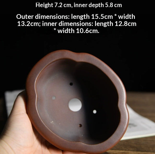 Penke Ceramics Premium Clay Pots de bureau Thé et Bonsai