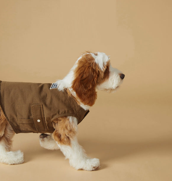 Animaux de compagnie Printemps et été Sports Style Outdoor Vêtements de travail Vest résistant aux taches Vêtements minces