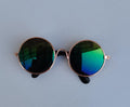 Lunettes de soleil pour chats