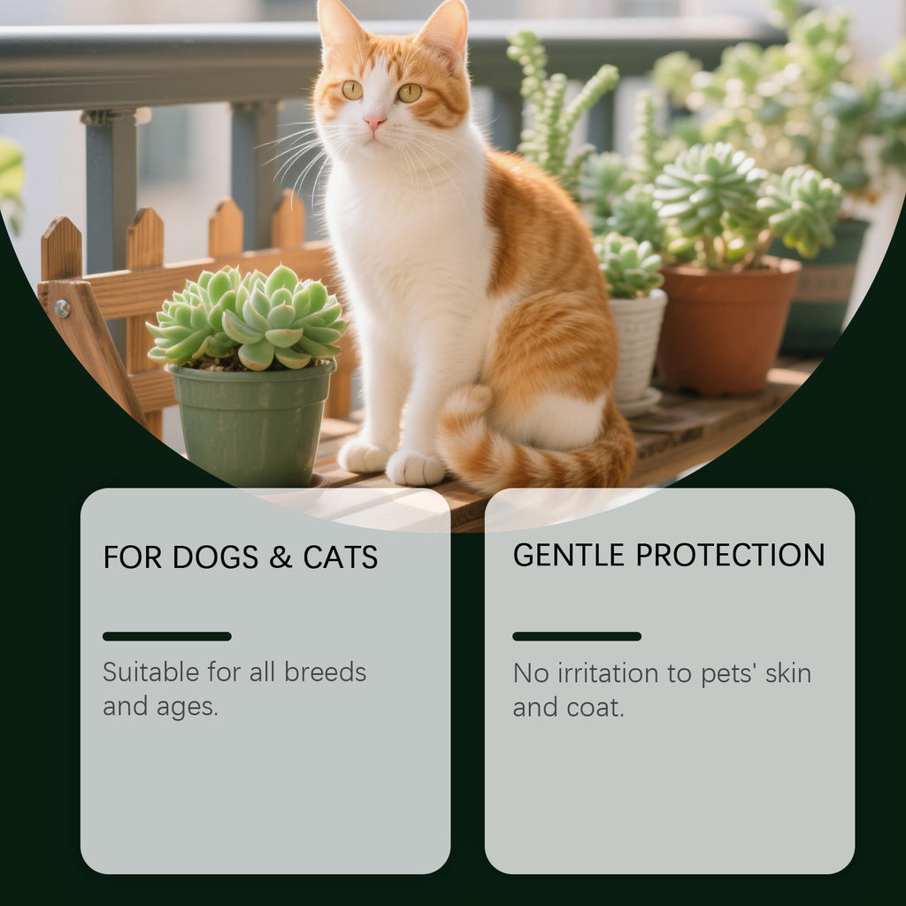Répulsif pour animaux domestiques répulsifs pour chiens chats Peau de chien Spray externe d'application