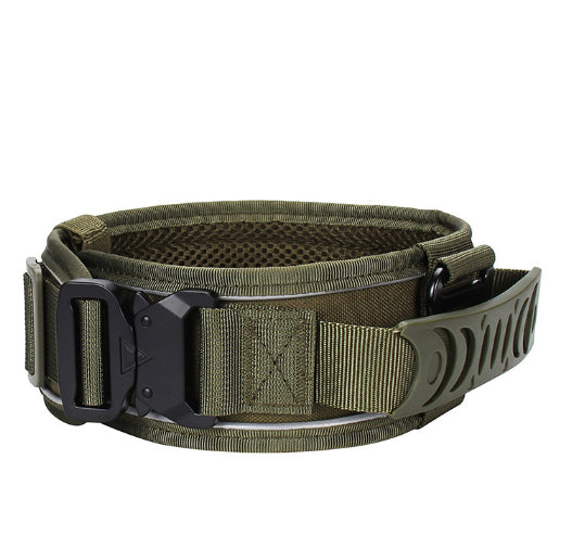 Collier de chien en nylon réfléchissant et laisse extérieure pour animaux de compagnie
