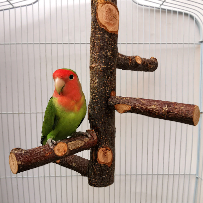 Jouet en bois de perroquet