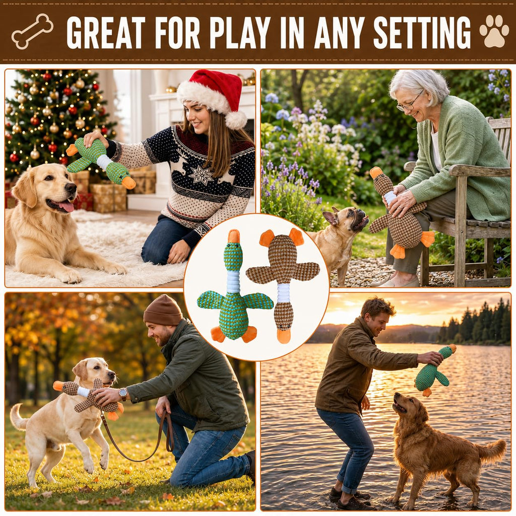 Jouets pour chiens pour brochettes agressives