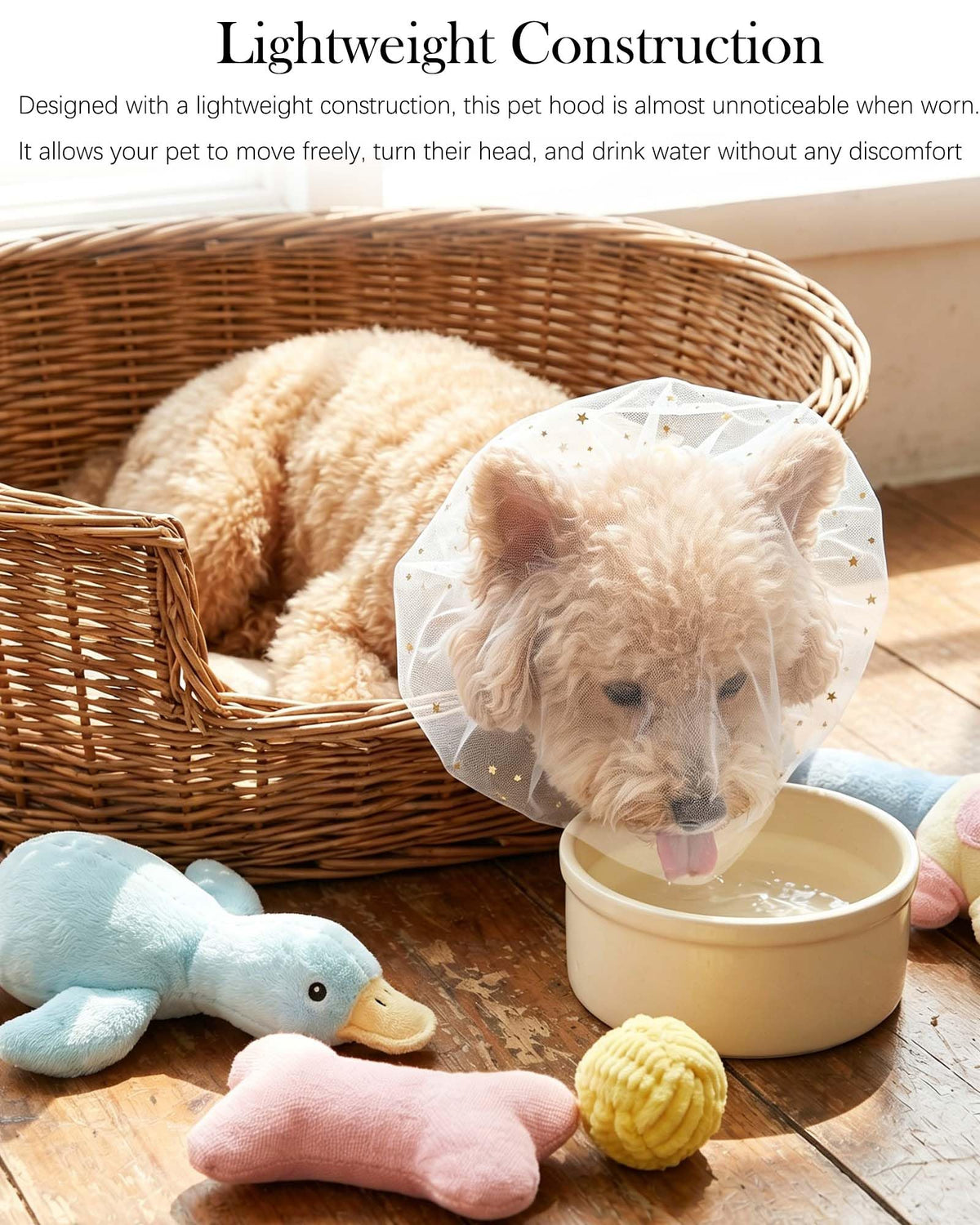 8 Pack Hood Anti-Lick pour chien