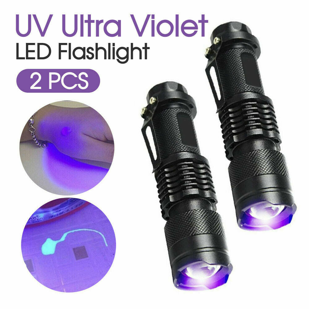 Lampe de poche UV Ultra Violet Lampe de poche portatif Petite lampe de poche 395nm Mini lumière Inspectio