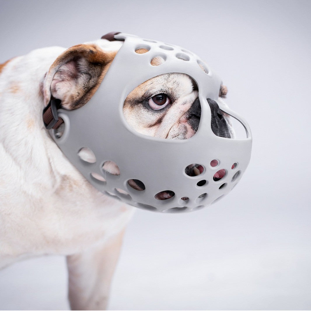 Couvre-dents en caoutchouc souple pour chien Masque anti-acajou