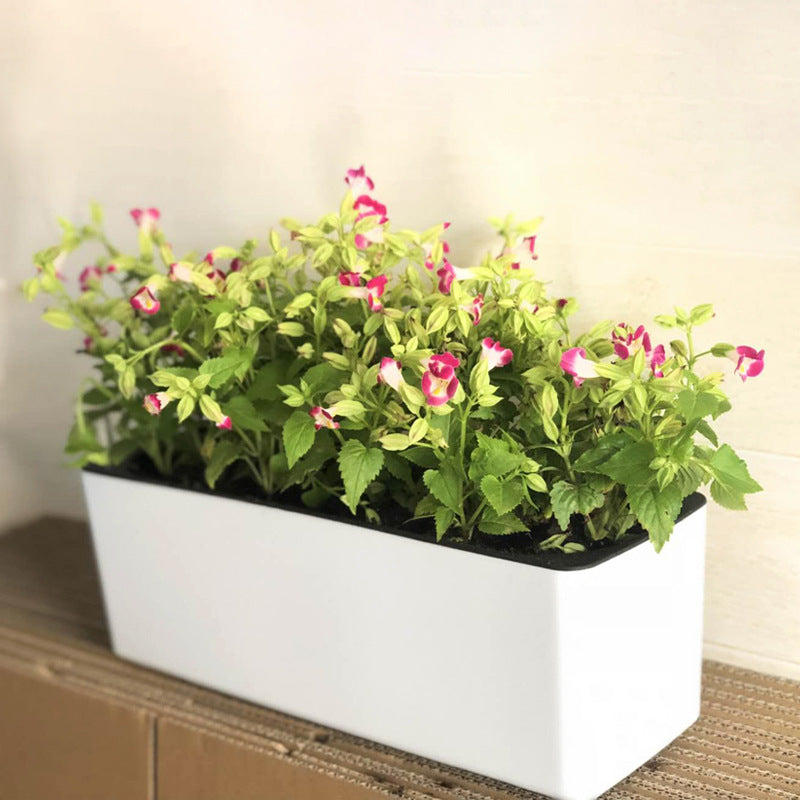 Pot à fleurs en plastique rectangulaire auto-arrosage