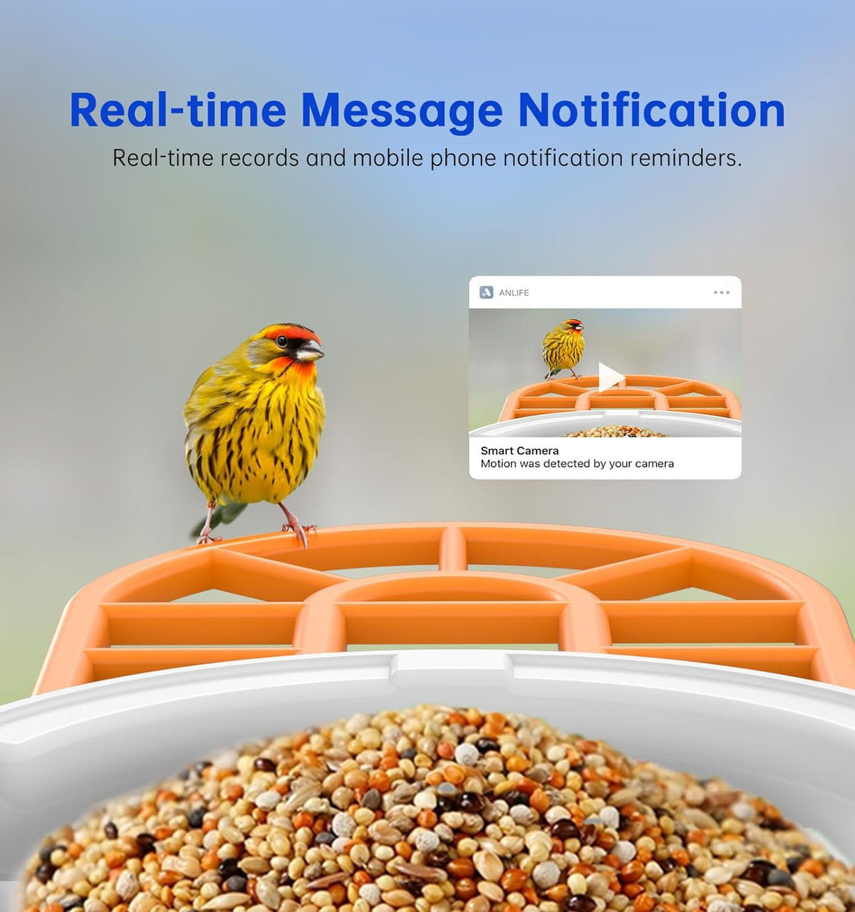 Smart Feeder Wireless Surveillance Camera