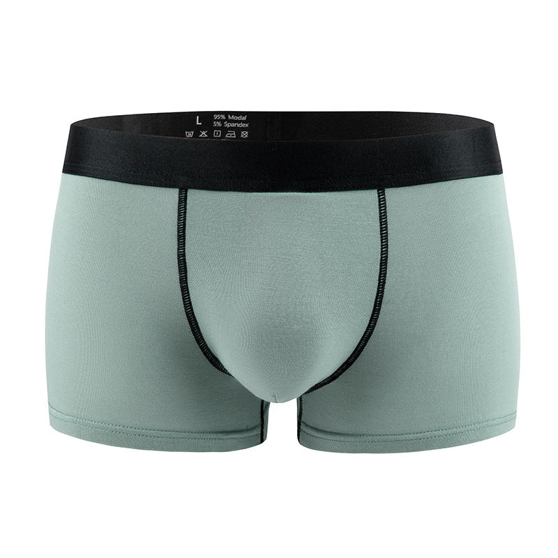Standard Hommes Sous-vêtements sexy Modal Low-rise