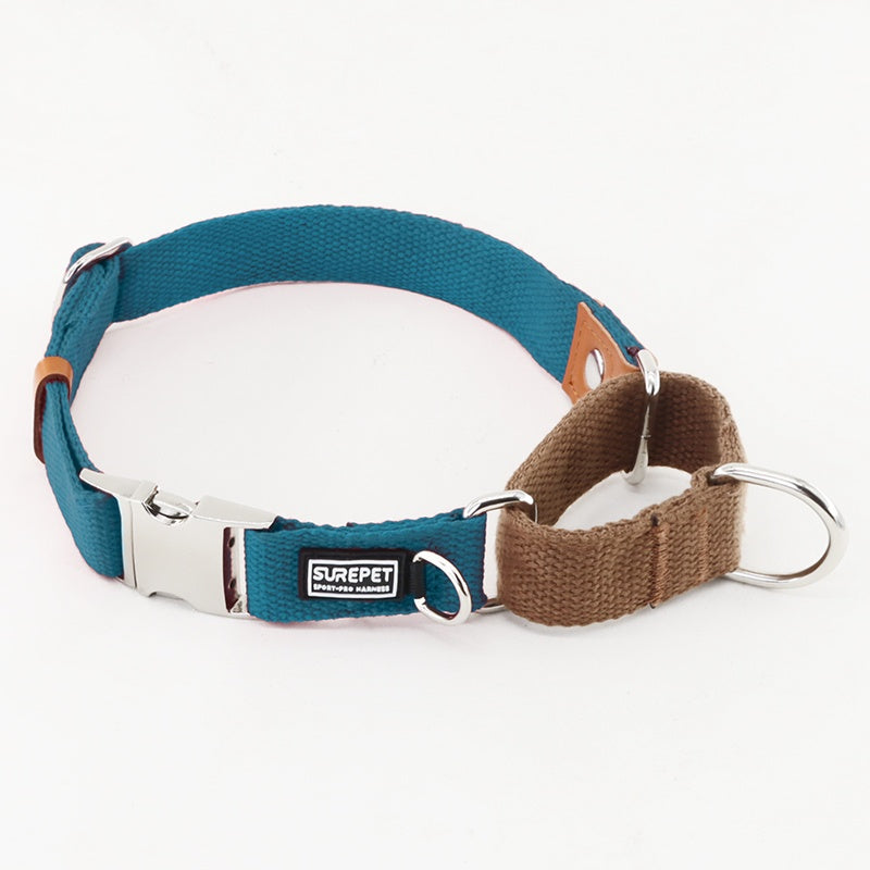 Collier de chien avec étiquette d'identification pour empêcher votre chien de se perdre