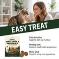 Comprimés interactifs de dents de chat et suppléments nutritionnels quotidiens