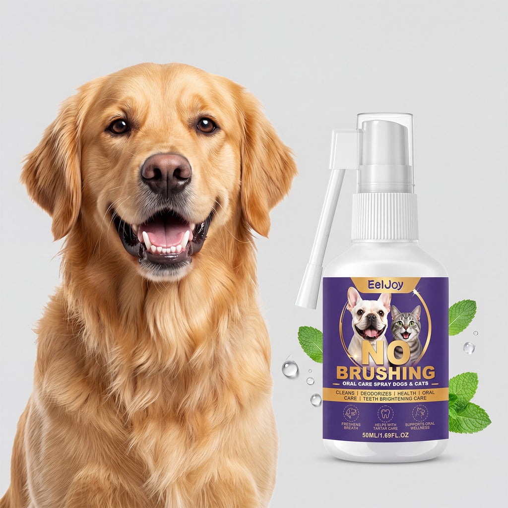 Vaporisateur de nettoyage pour chiens et chats