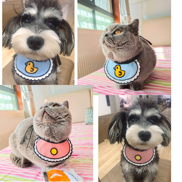 Chien mignon de chat de chat de salive Bib coréen