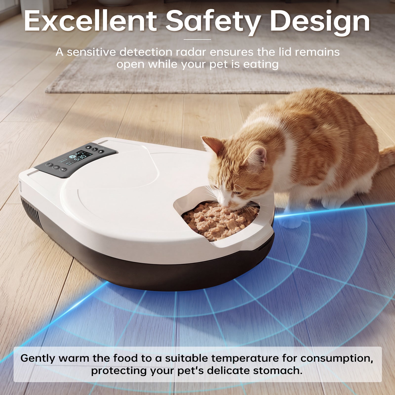 Alimentaire de chat humide automatique
