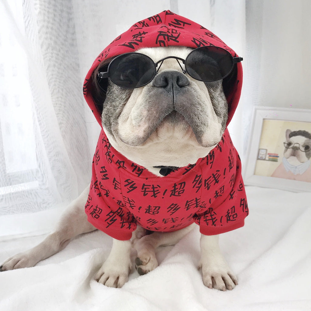 Jouet de lunettes de chien moyen et grand